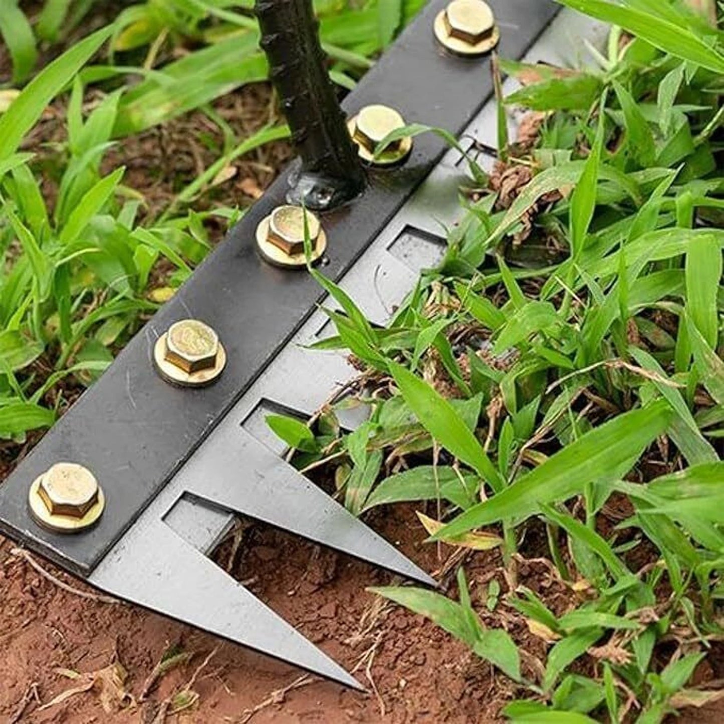 5 Teeth Carbon Steel Garden Weeding