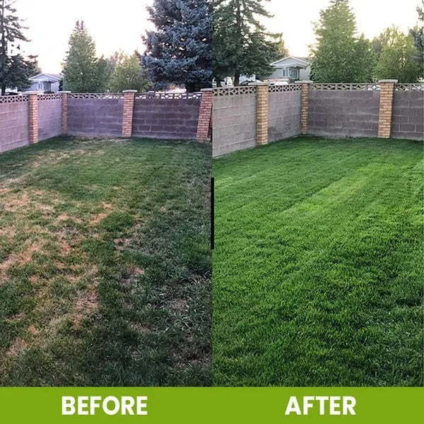 Soil Activator: Plant's Best Friend - Rejuvenate Your Plants