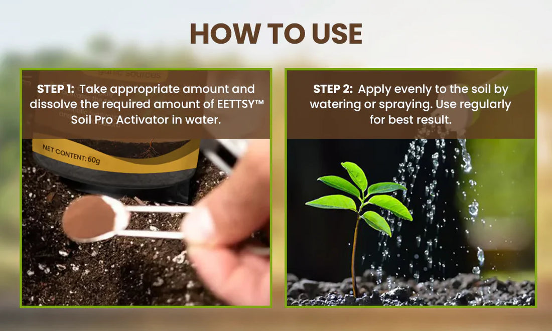 Soil Activator: Plant's Best Friend - Rejuvenate Your Plants