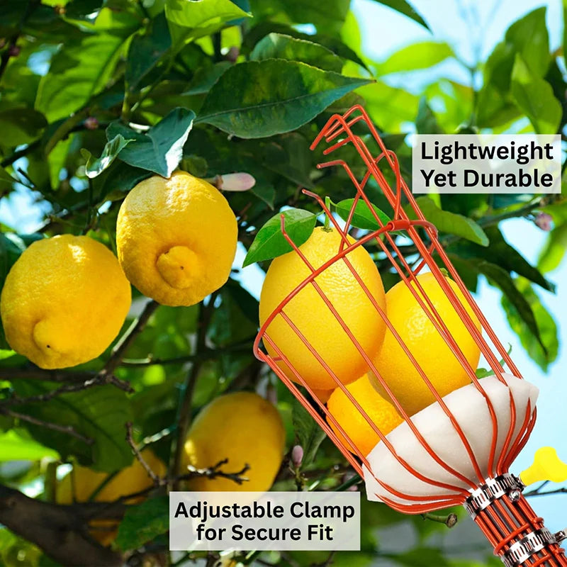 Tree Fruit Picker | Mango Plucker Harvest Basket