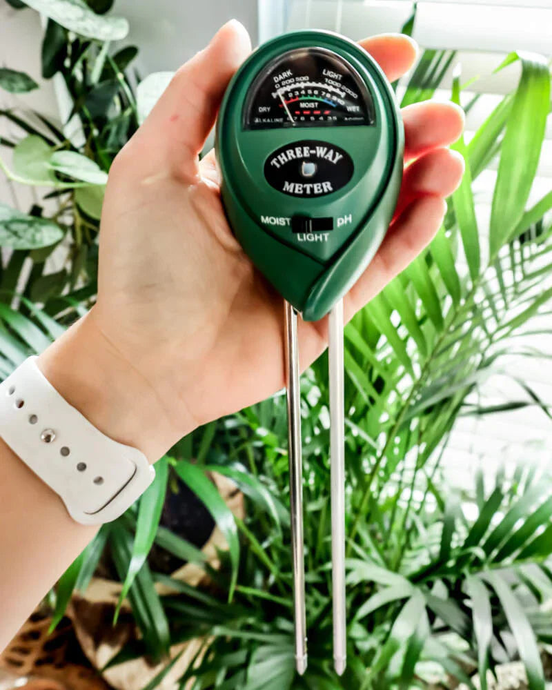 3-in-1 Soil Moisture Meter