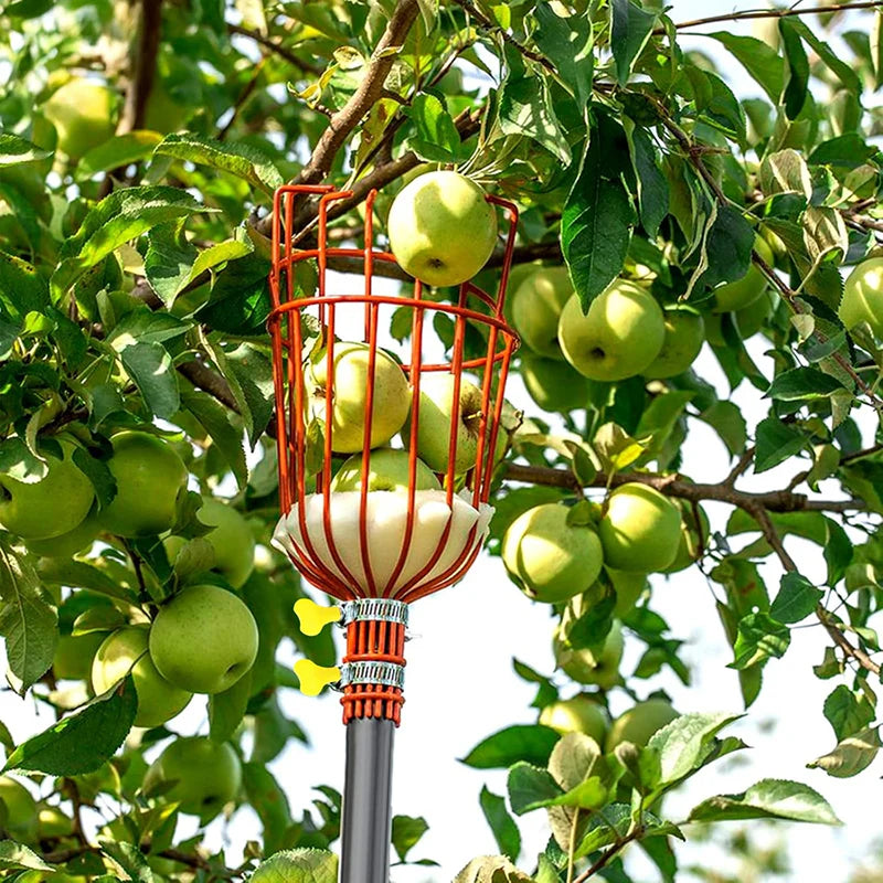Tree Fruit Picker | Mango Plucker Harvest Basket