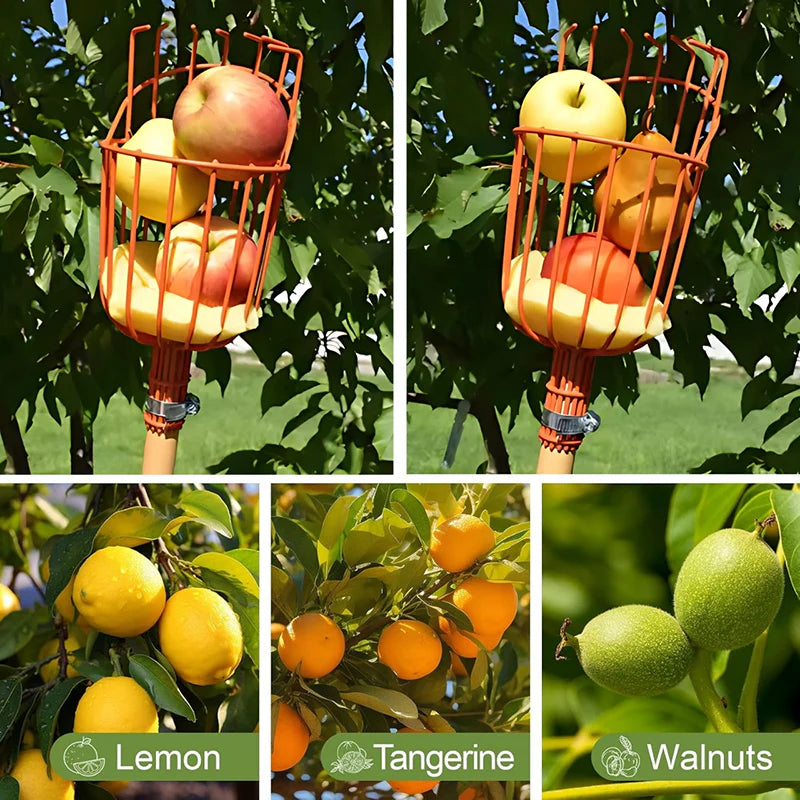 Tree Fruit Picker | Mango Plucker Harvest Basket