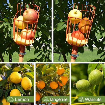 Tree Fruit Picker | Mango Plucker Harvest Basket