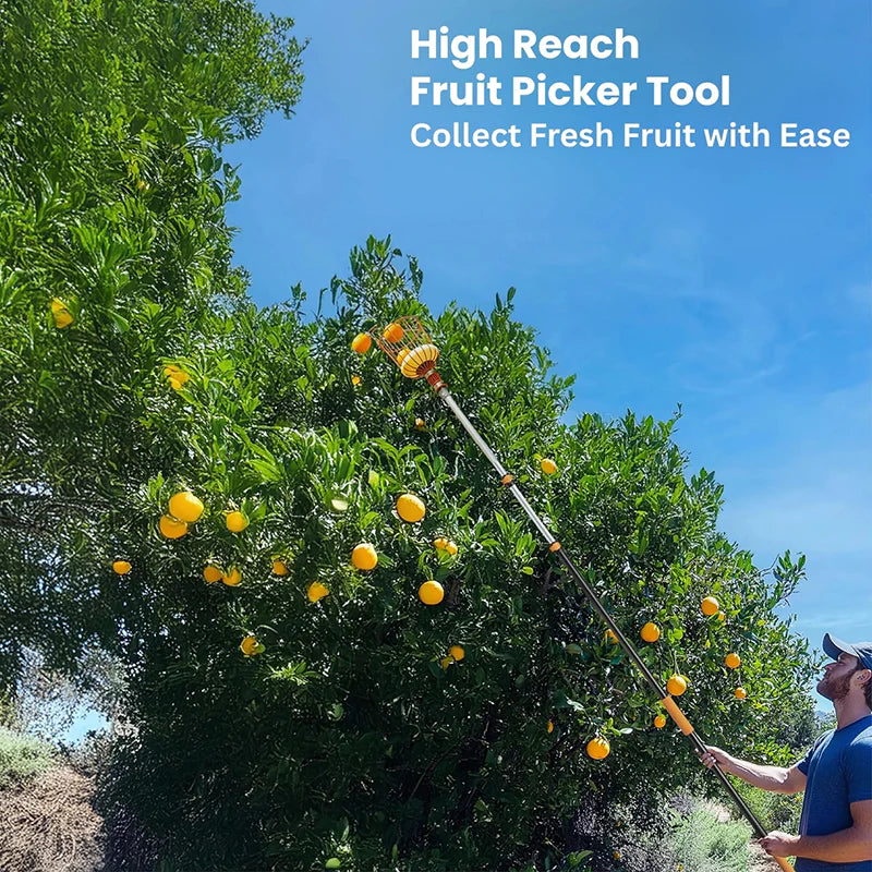 Tree Fruit Picker | Mango Plucker Harvest Basket