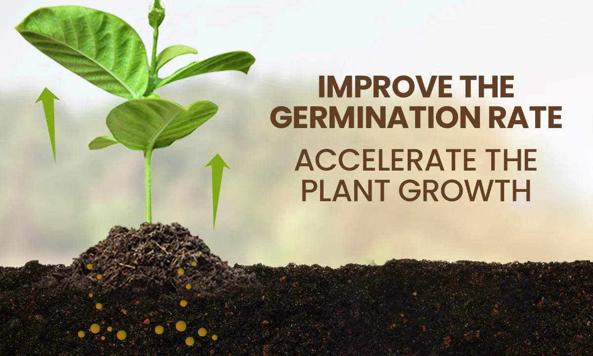 Soil Activator: Plant's Best Friend - Rejuvenate Your Plants