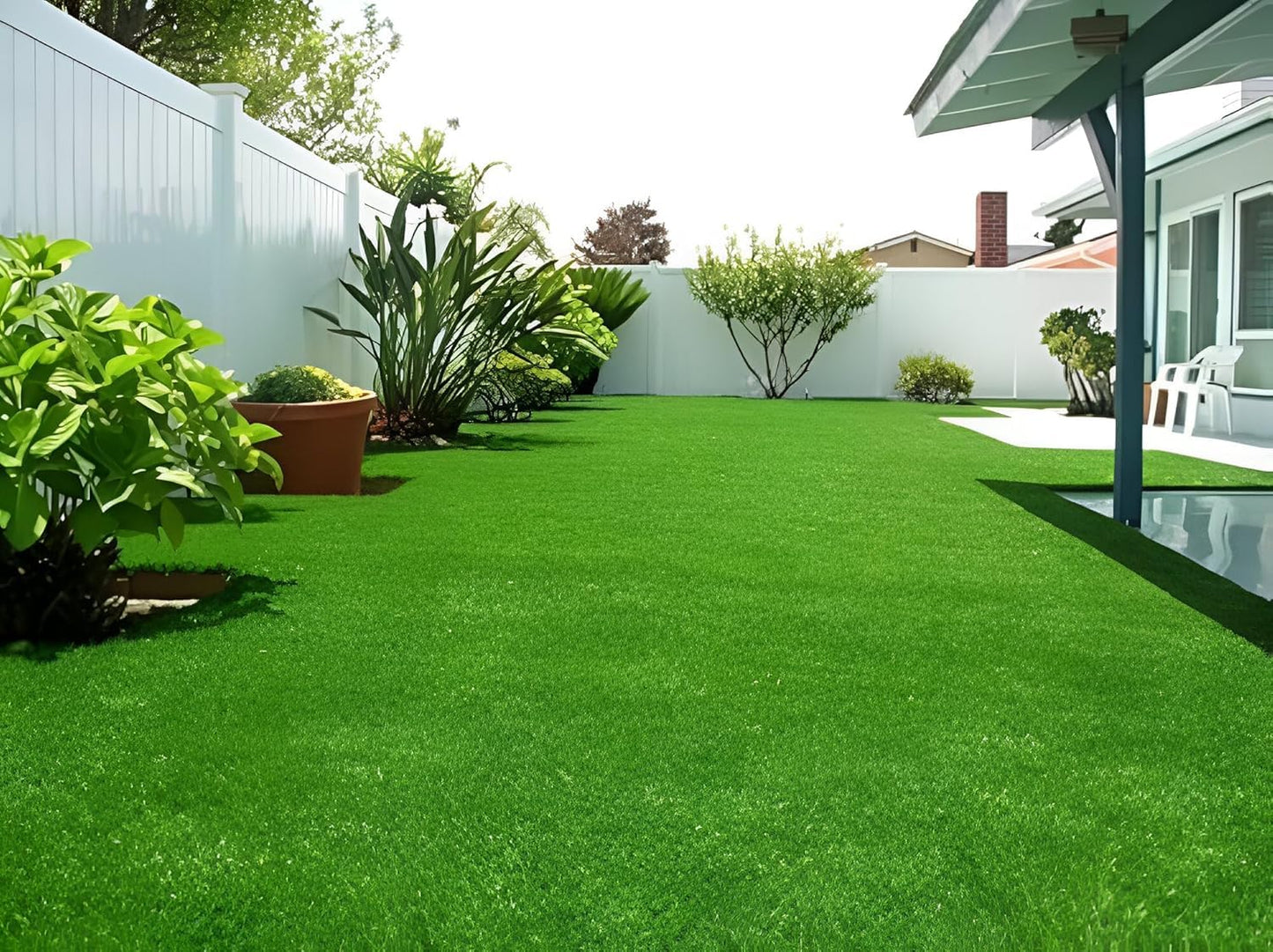 Hybrid Mexican Bermuda Lawn Grass Seeds