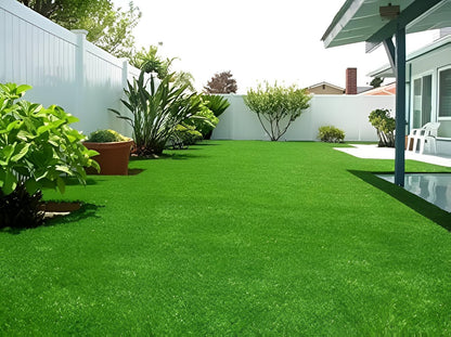 Hybrid Mexican Bermuda Lawn Grass Seeds