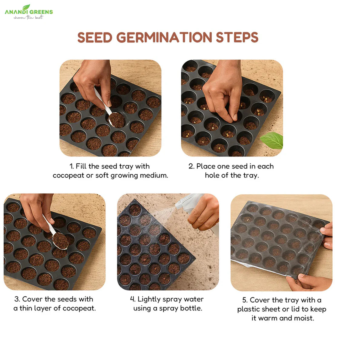 Mix seeds - 20 All Season Flower Combo Pack
