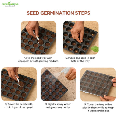 Mix seeds - 20 All Season Flower Combo Pack
