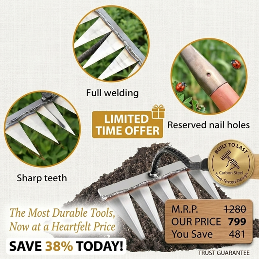 5 Teeth Carbon Steel Garden Weeding