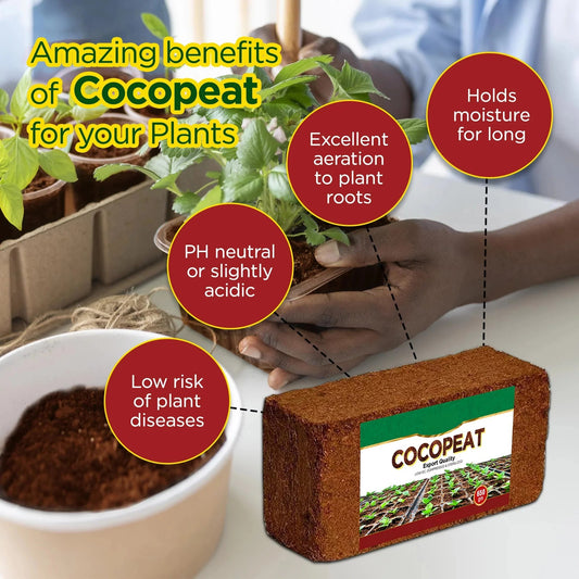 100% Organic Coco Coir for Faster Plant Growth | The Ultimate Super-Soil 🌱