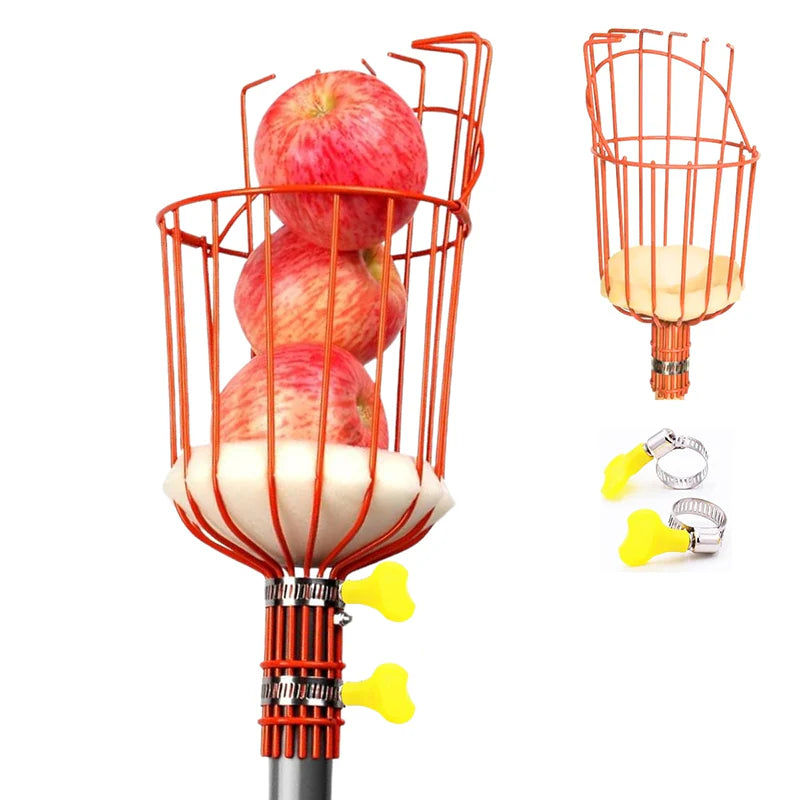 Tree Fruit Picker | Mango Plucker Harvest Basket