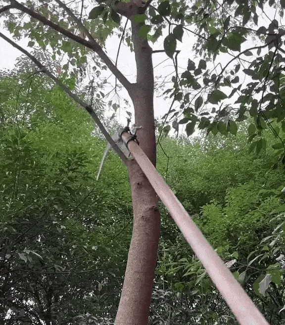 Multifunctional Carbon Steel Portable Grass Sickle, Tree Branch Cutting & Gardening Tool