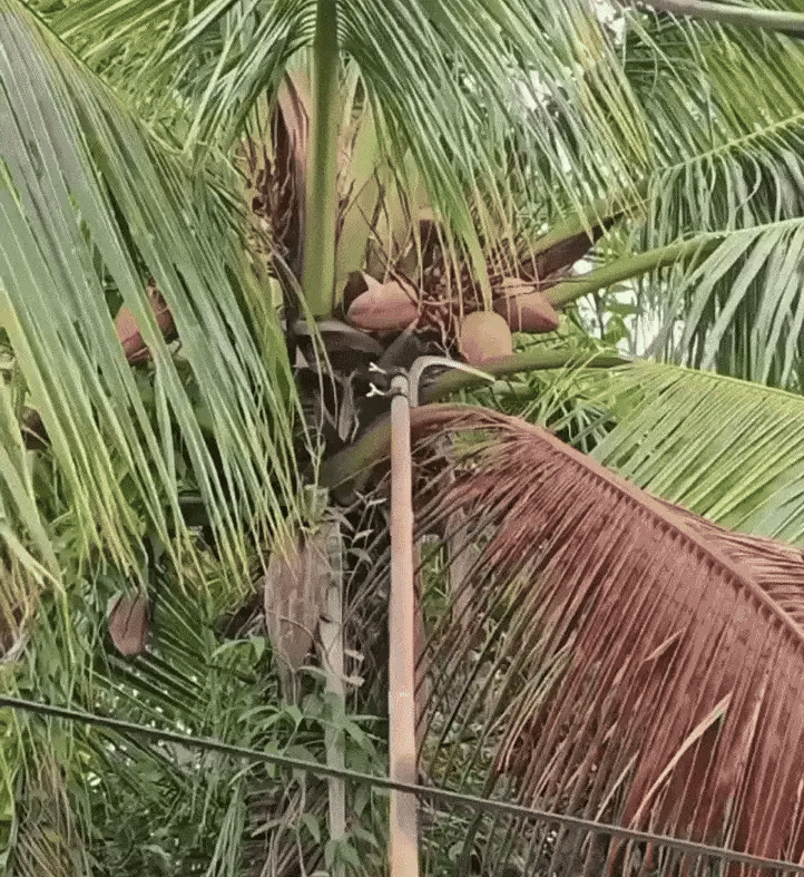 Multifunctional Portable Grass Sickle Cutter Head Tool